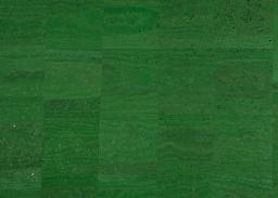 Cork fabric Surface grass green