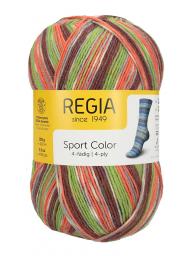 Regia 4-fädig Color 100g