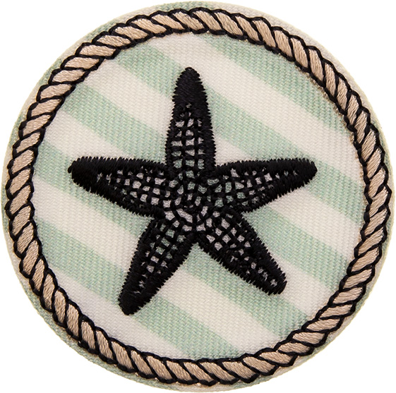 Wholesale starfish