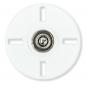 Wholesale sew on buttons 25mm white